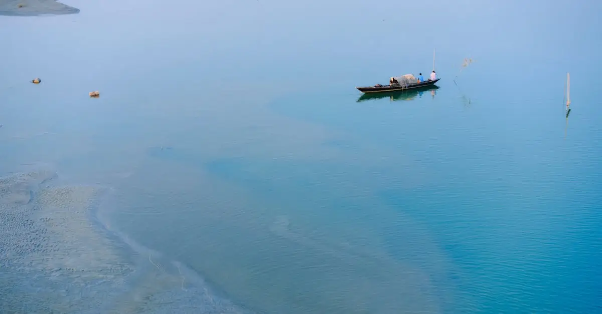 A Psalm for the Wild-Built